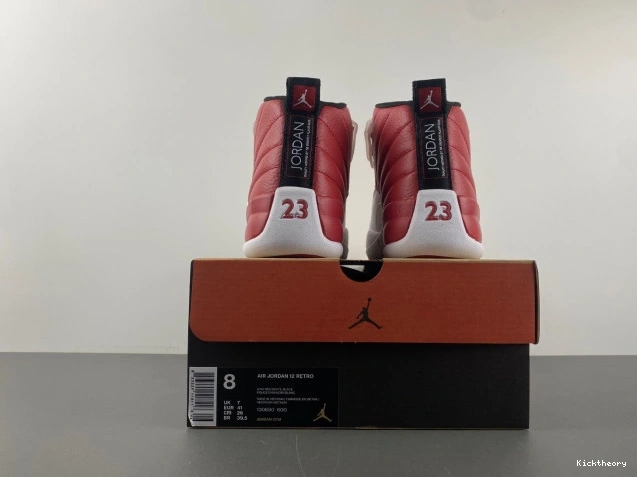 Kick Theory Alternate Air Jordan 130690-600 12 0807